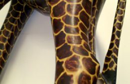 giraffe_klein